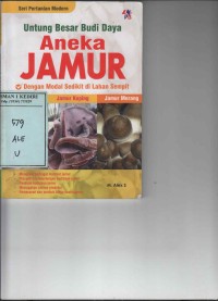 Untung Besar Budi Daya Aneka Jamur
